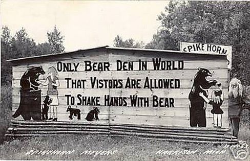 "Only bear den in world that visitors are allowed to shake hands with bear"