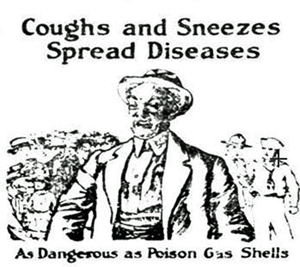 The Great Flu Pandemic in a Small Michigan County